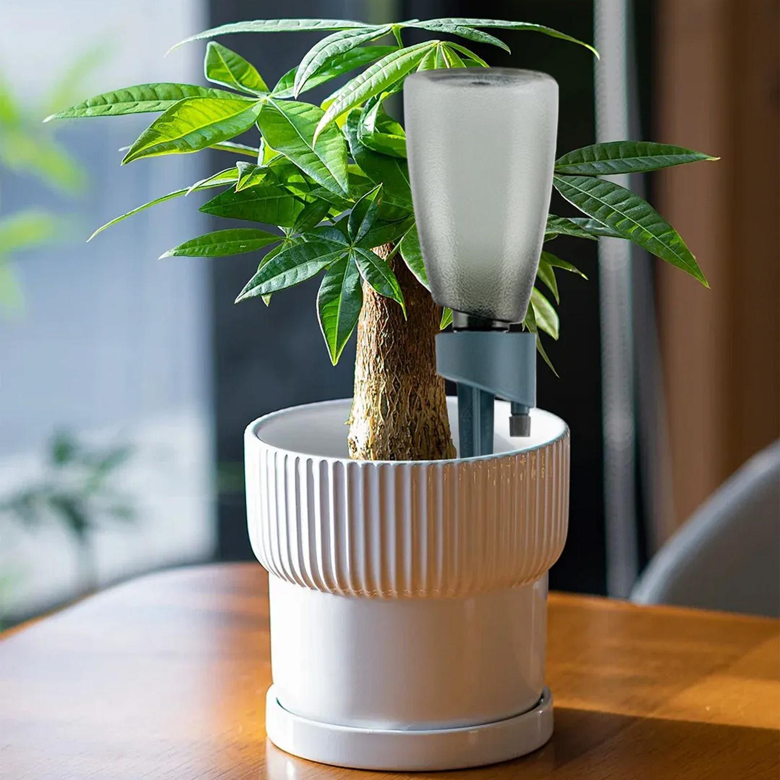 Conjunto de 6 Dispositivos de  - Self Watering Insert avaliação e preço
