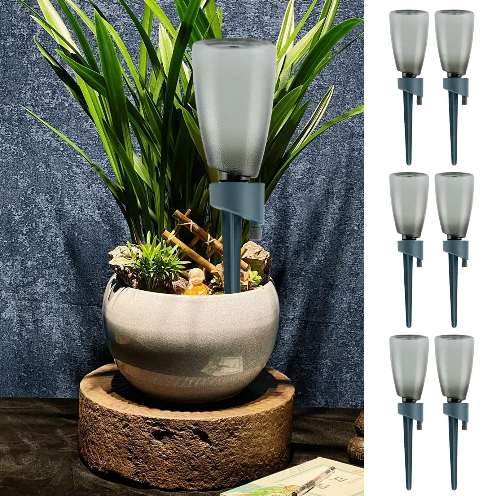 Conjunto de 6 Dispositivos de  - Self Watering Insert avaliação e preço