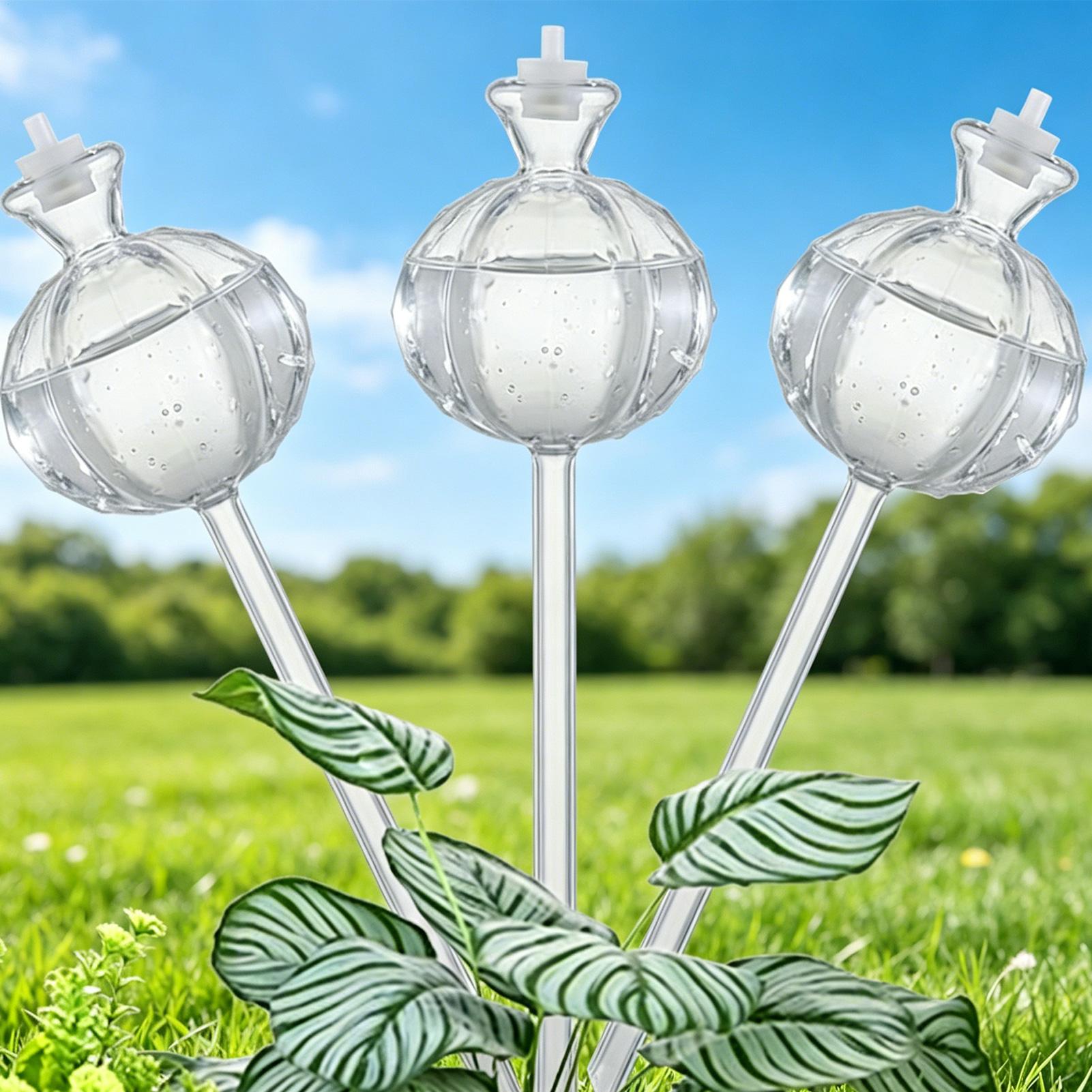 Globos de Autoirrigação (3 Peç - Self Watering Insert avaliação e preço