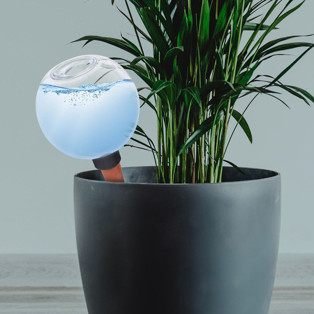 3 Globos de Rega Automáticos p - Self Watering Insert avaliação e preço