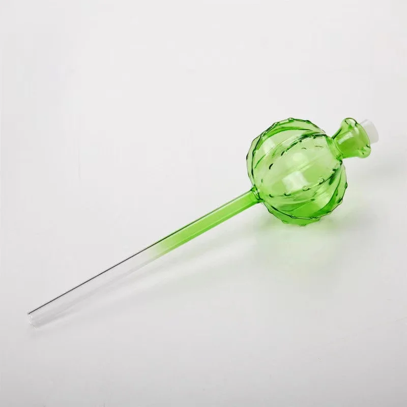 Dispositivo Criativo de Irriga - Self Watering Insert avaliação e preço