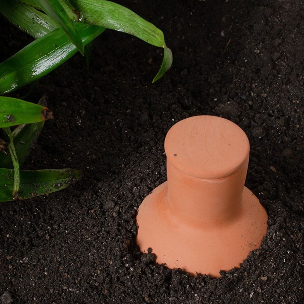 4 Peças de Espigões de Autoirr - Self Watering Insert avaliação e preço